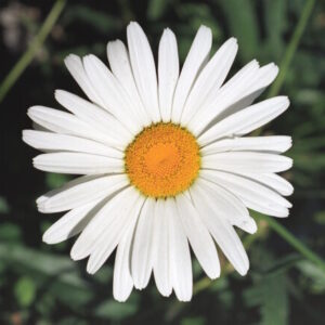 Profile photo of Michelle